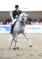 Foto-Archiv