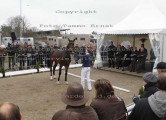 Foto-Archiv