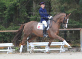 Foto-Archiv