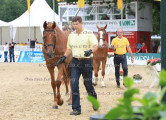 Foto-Archiv