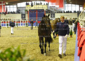 Foto-Archiv