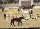 Foto-Archiv