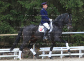Foto-Archiv