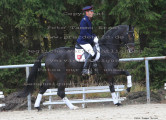 Foto-Archiv