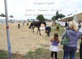 Foto-Archiv