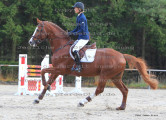 Foto-Archiv