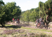 Blickwinkel