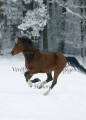 Blickwinkel