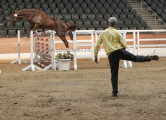 Foto-Archiv