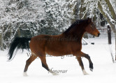 Blickwinkel