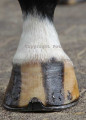 Blickwinkel