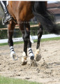 Foto-Archiv