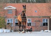 Blickwinkel