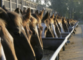 Blickwinkel