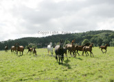 Blickwinkel