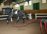 Blickwinkel