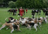 Blickwinkel