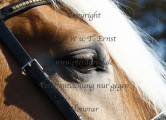 Blickwinkel