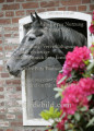 Blickwinkel