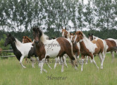 Blickwinkel