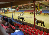 Blickwinkel