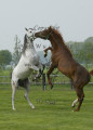 Blickwinkel