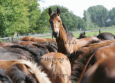Blickwinkel