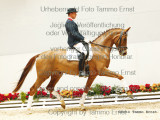 Equestrian photography